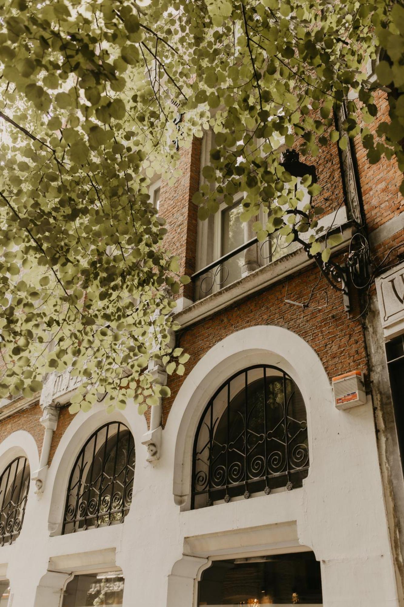 Blue Bird Residence أنتويرب المظهر الخارجي الصورة